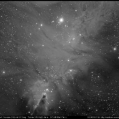 20050115NGC2264 Konus Ha