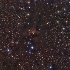 Sh2-187 Sharpless 187, Ldn1318,1323li.u., 1316re.u. in CAS TV NP101@540mm SXV-H9 LRGB 460/64/65/90min total 11,3h gah20071014u15/1101