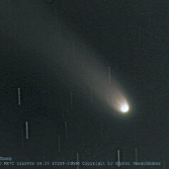 20000328 ikheya zhang 01