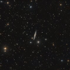 NGC3079 NGC 3079 in Ursa Major, ASA N10 DSPro 2600m L45x500s, ASK8/f3 Nexus DSPro 2600C 46x300s total: 10h, ASA DDM85, Gahberg 20241226-1227