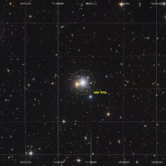 NGC5634-Grid NGC 5634 in Virgo, ASAN10 Trius 694 L 242min, ASK8 Trius 694 RGB a‘ 79min,Gahberg 20220310