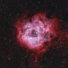 NGC2237-Rosettenebula-full-field NGC224 / 2237 Rosette Nebula in Monoceros Redcat71, IMX571C, Gain 0, Offset 100, 61x300s LExtreme 134x300s total 16,25h, iOptron HAE43, Gahberg 20251219-1228