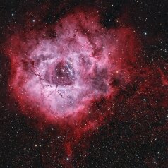 NGC2237-Rosettenebula NGC224 / 2237 Rosette Nebula in Monoceros Redcat71, IMX571C, Gain 0, Offset 100, 61x300s LExtreme 134x300s total 16,25h, iOptron HAE43, Gahberg 20251219-1228