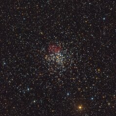 Star Cluster