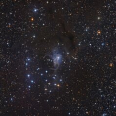 NGC225-VDB4-in-Cassiopeia NGC 225, VDB4 in Cassiopeia,ASAN10 Trius 694 L 466min, ASK8 Trius 694 RGB a‘ 153min, Gahberg 20231013