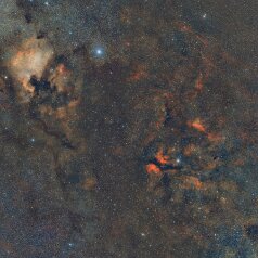 Cygnusmosaik Cygnusmosaik 4 panel,Canon EOS6Da EF200 ISO1600 50x5min each panel, iEQ30Pro, Gahberg 20230819 - 0821