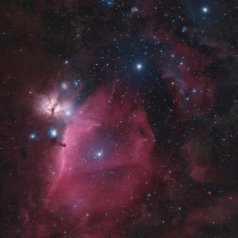 Widefield and Mosaik