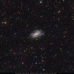 NGC925-in-Triangulum-Crop NGC925 in Triangulum, ASA N10 DSPro 2600m L48x500s, ASK8/f3 Nexus DSPro 2600C 79x300s total: 13,25h ASA DDM85, Gahberg 20250921