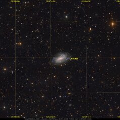 NGC925-in-Triangulum-Grid NGC925 in Triangulum, ASA N10 DSPro 2600m L48x500s, ASK8/f3 Nexus DSPro 2600C 79x300s total: 13,25h ASA DDM85, Gahberg 20250921
